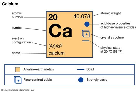 mol wt of calcium|what does calcium mean.